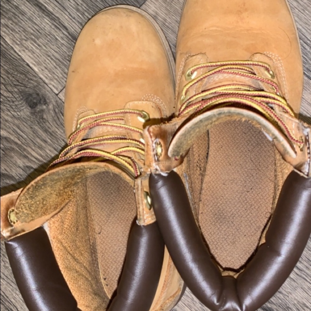 Timberlands - Picture 5 of 5